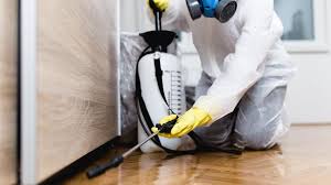 Best Pest Control for Hotels  in Pembroke Park, FL